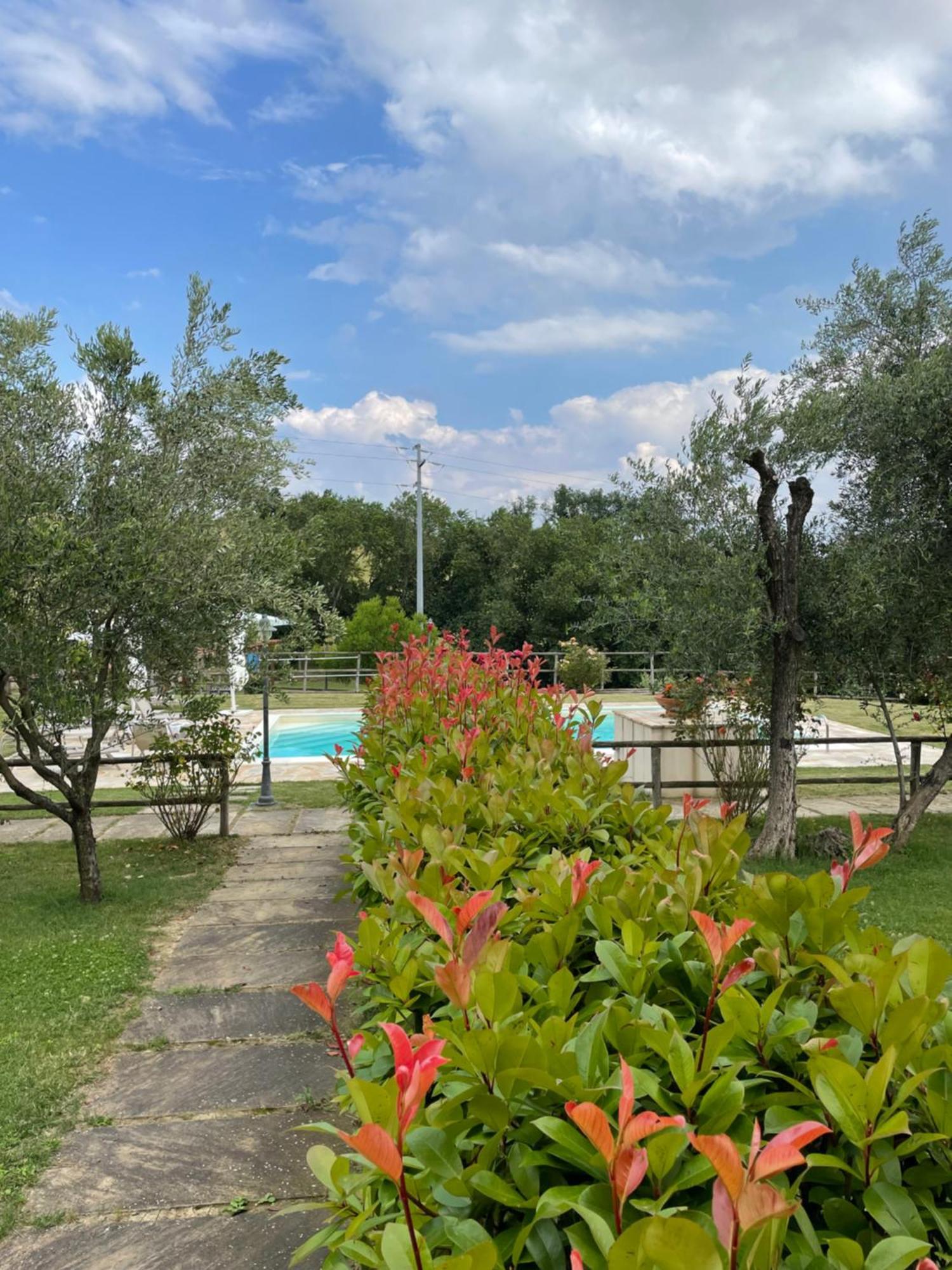 Montenovo Country House Ostra Vetere Extérieur photo