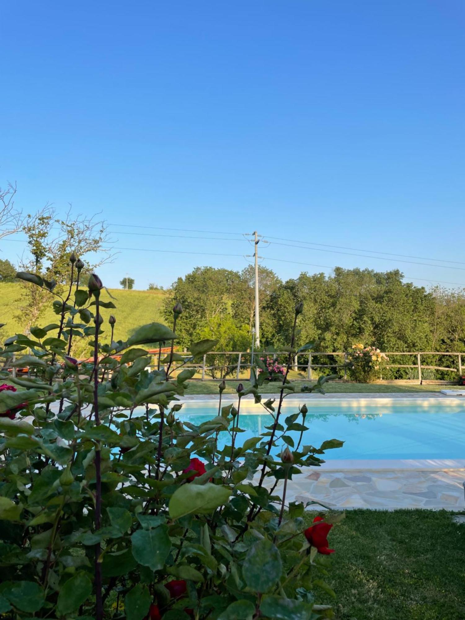 Montenovo Country House Ostra Vetere Extérieur photo