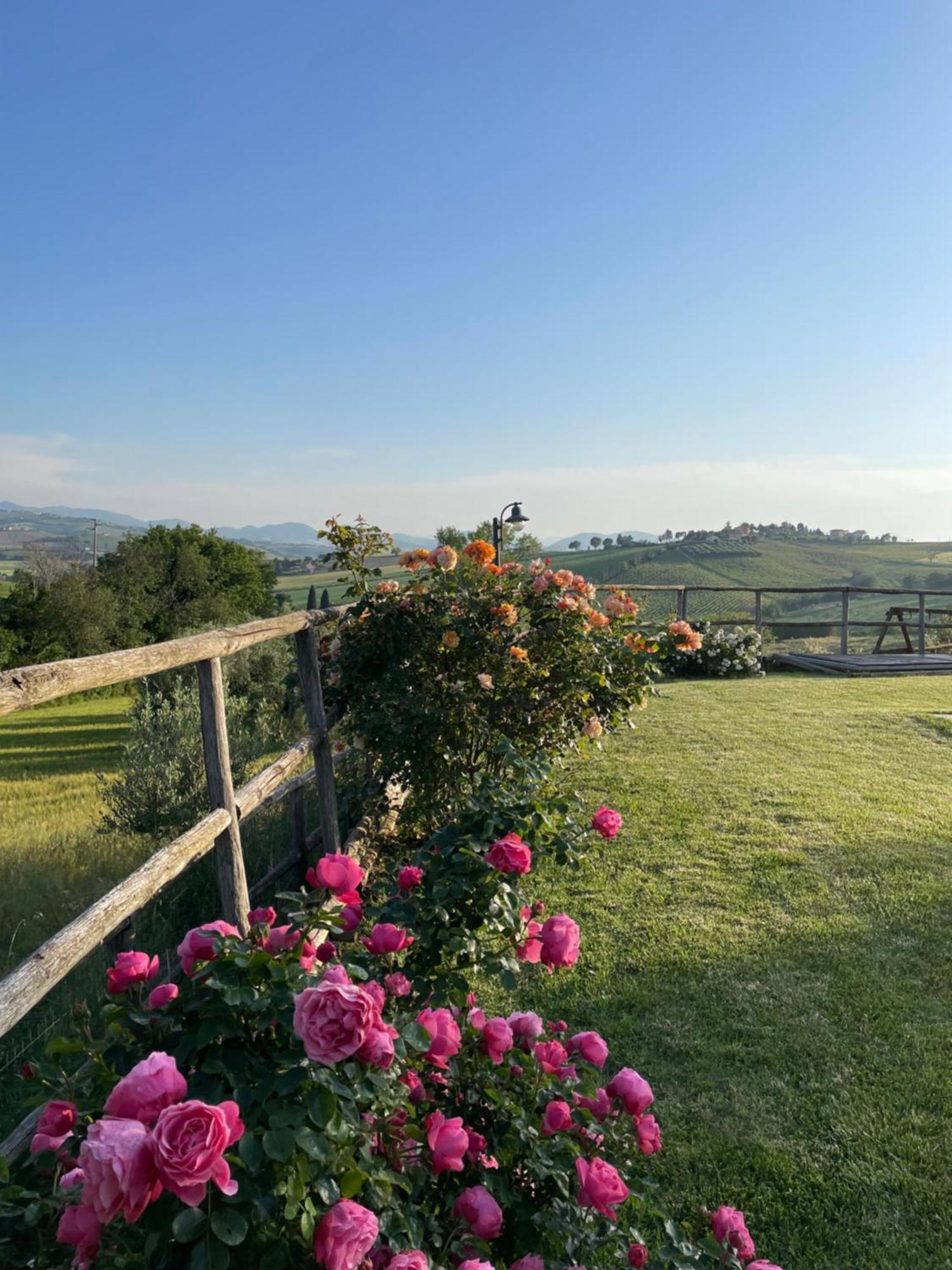 Montenovo Country House Ostra Vetere Extérieur photo