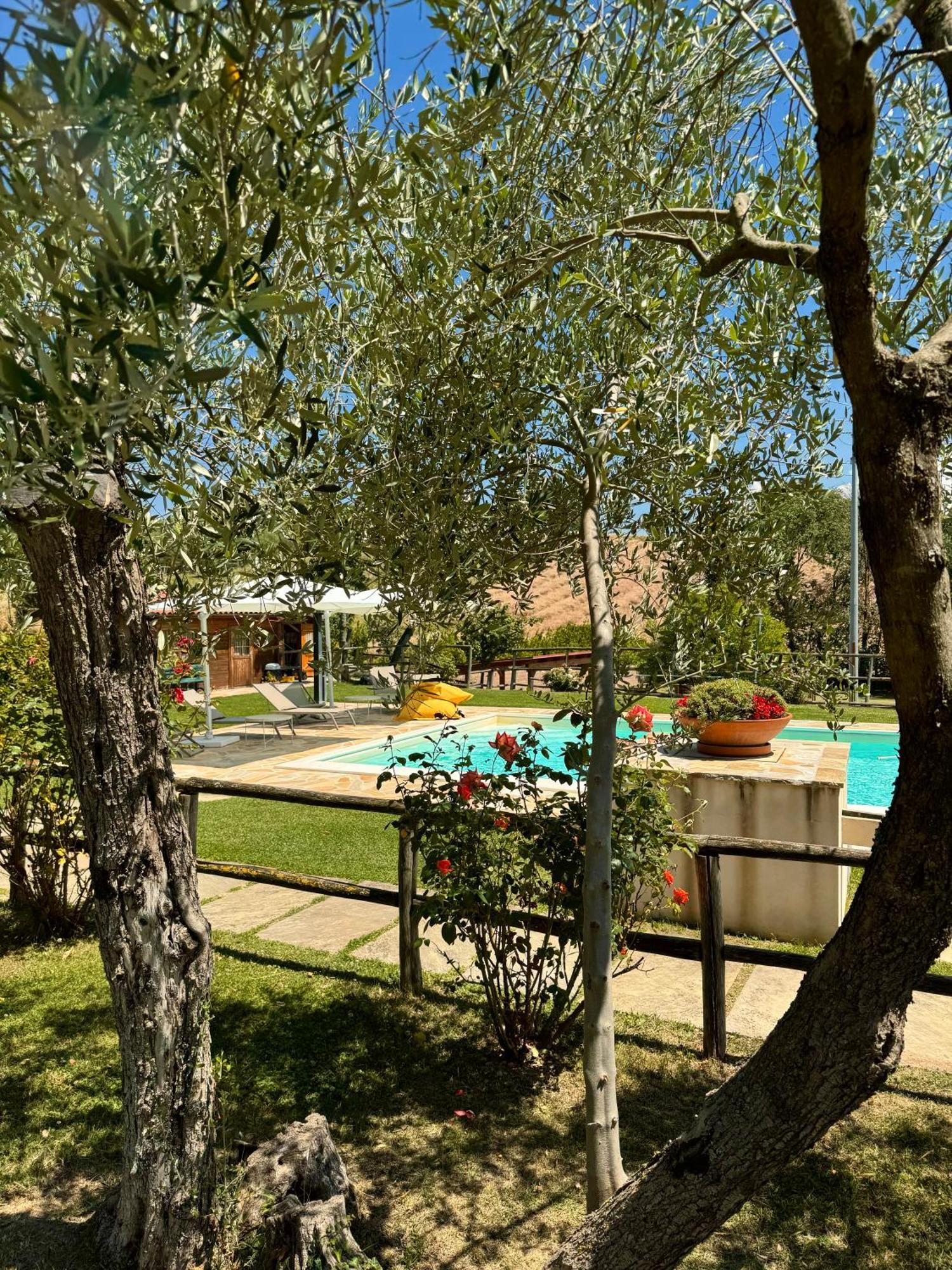 Montenovo Country House Ostra Vetere Extérieur photo