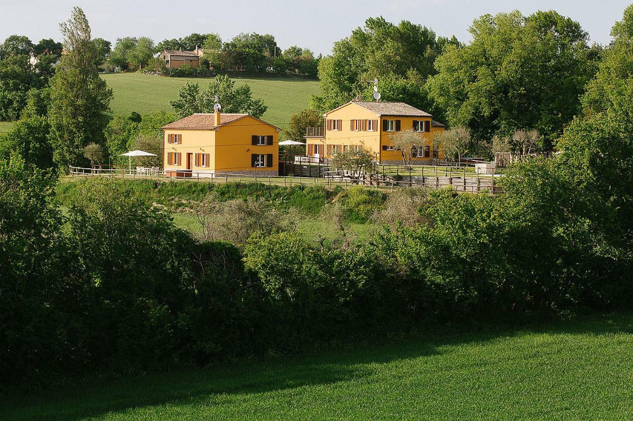 Montenovo Country House Ostra Vetere Extérieur photo